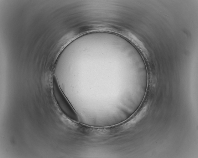 X0000112051001200909010938