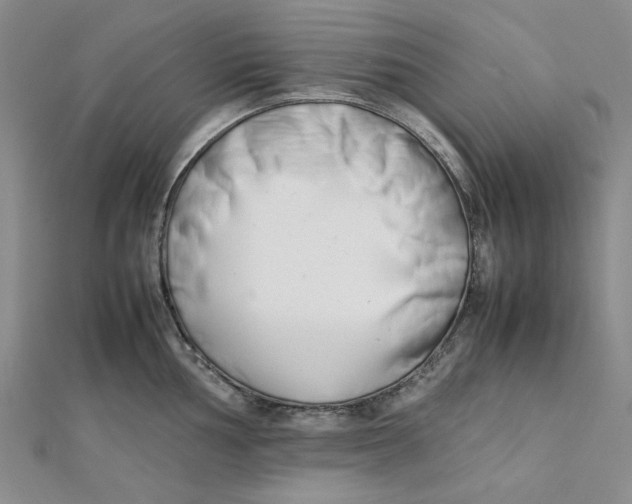 X0000112051002200909010938