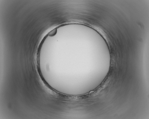 X0000112051003200909010938