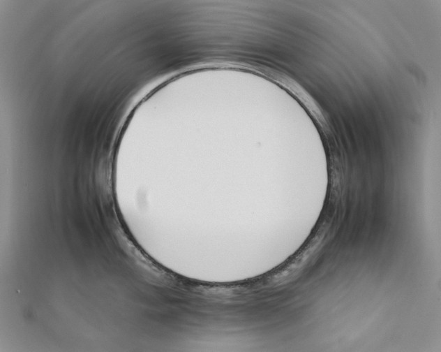 X0000112051004200909010938