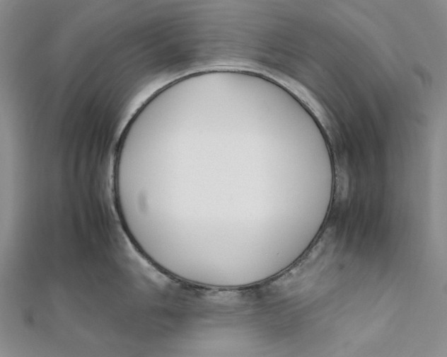 X0000112051006200909010938