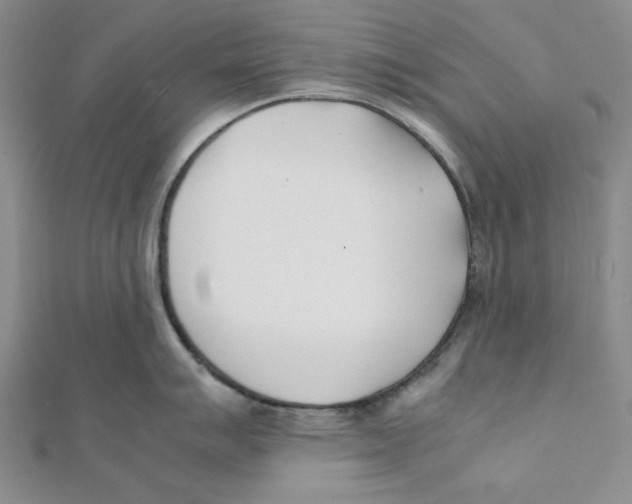 X0000112051007200909010938