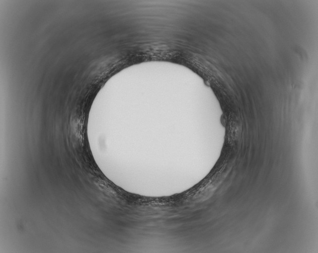 X0000112051010200909010938