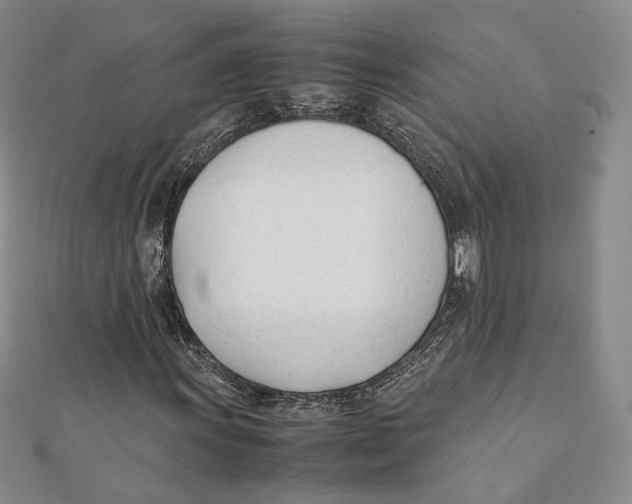 X0000112051011200909010938