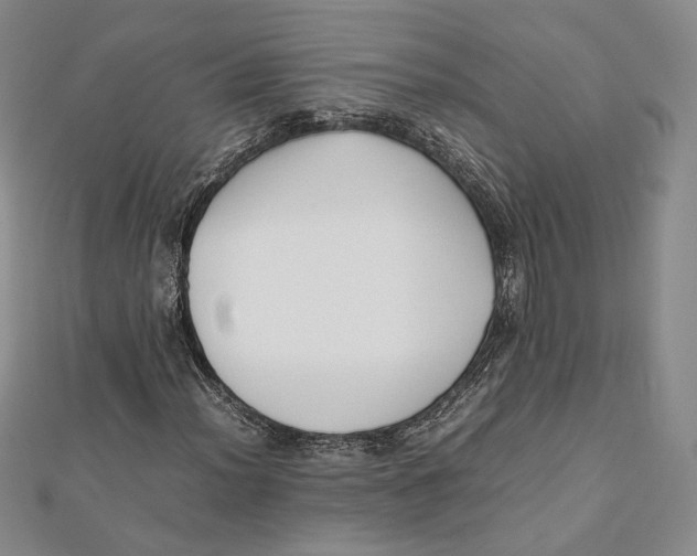 X0000112051012200909010938