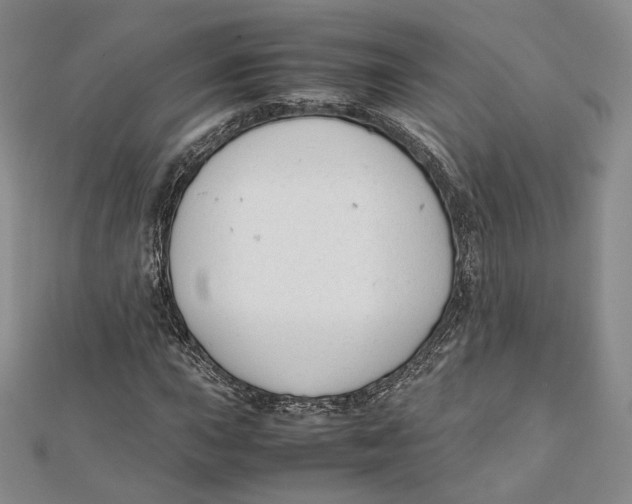 X0000112051015200909010938