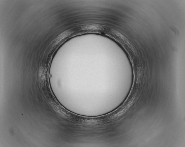 X0000112051017200909010938