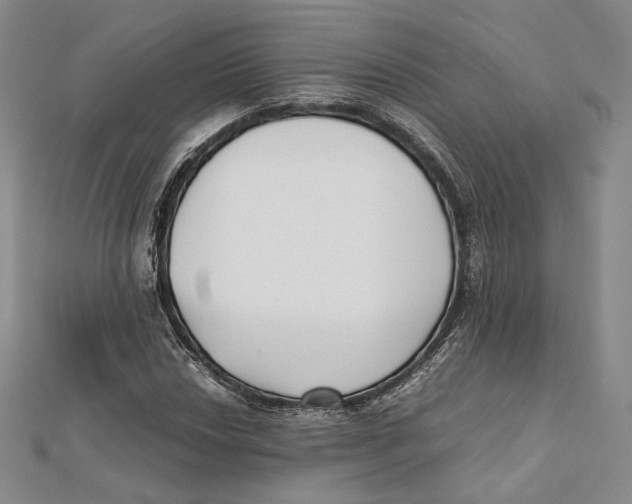 X0000112051018200909010938