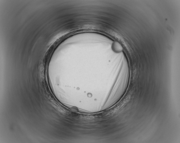 X0000112051019200909010938
