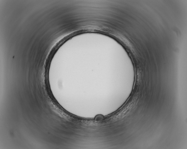 X0000112051020200909010938