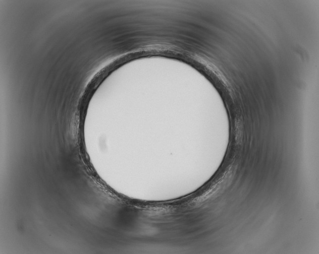 X0000112051021200909010938