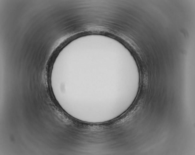 X0000112051022200909010938