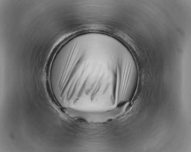 X0000112051024200909010938