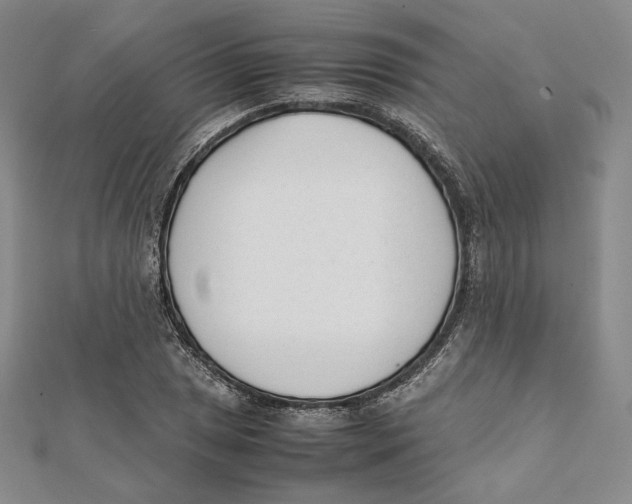 X0000112051025200909010938