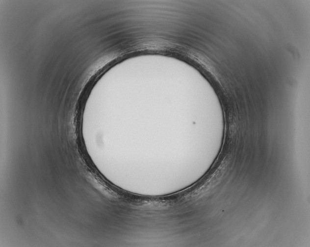X0000112051026200909010938