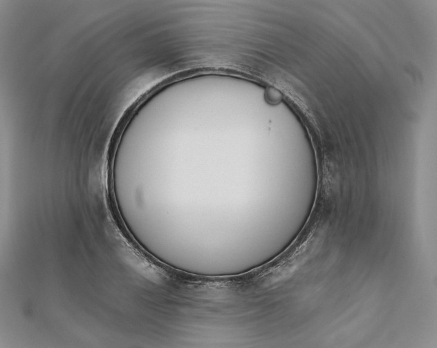 X0000112051028200909010938