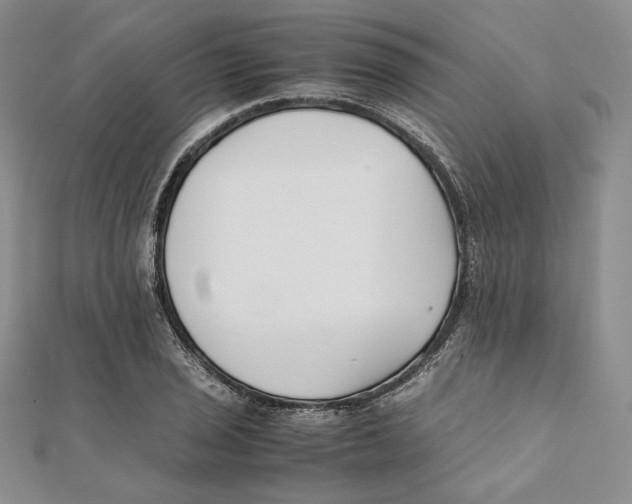 X0000112051029200909010938