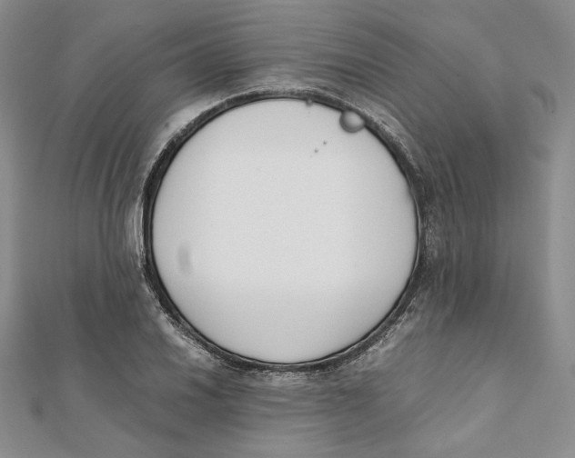 X0000112051030200909010938