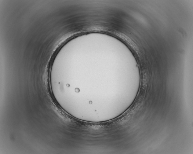 X0000112051031200909010938