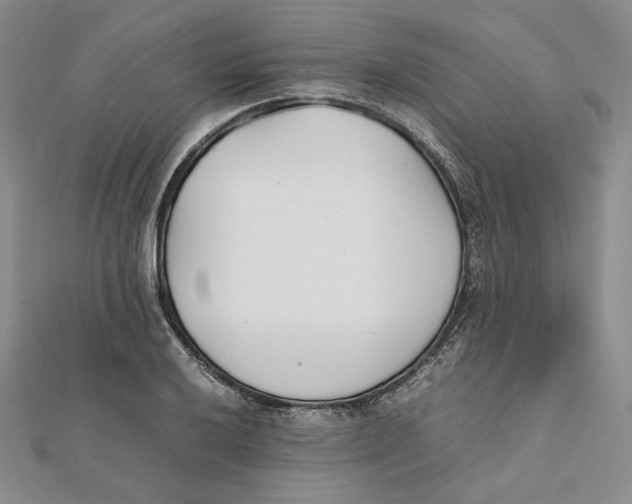 X0000112051032200909010938