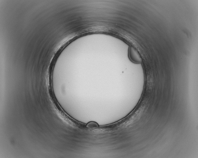 X0000112051034200909010938