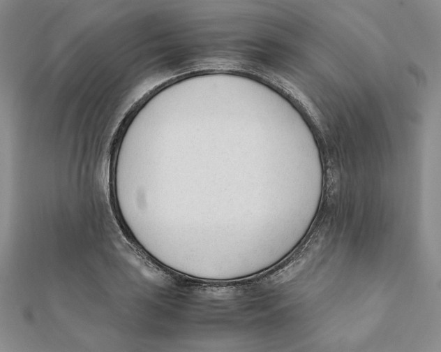 X0000112051035200909010938