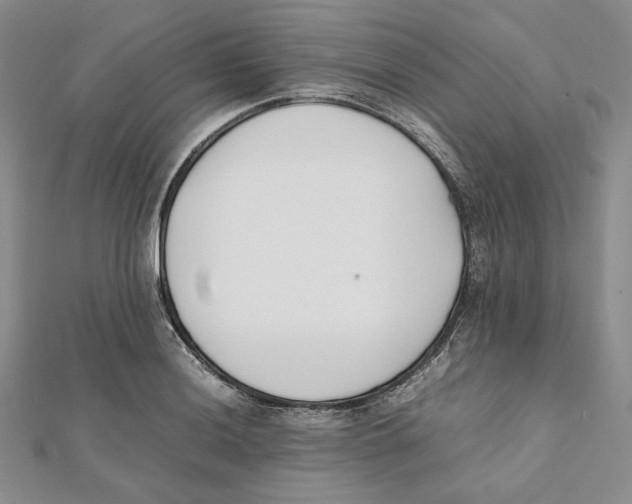 X0000112051036200909010938