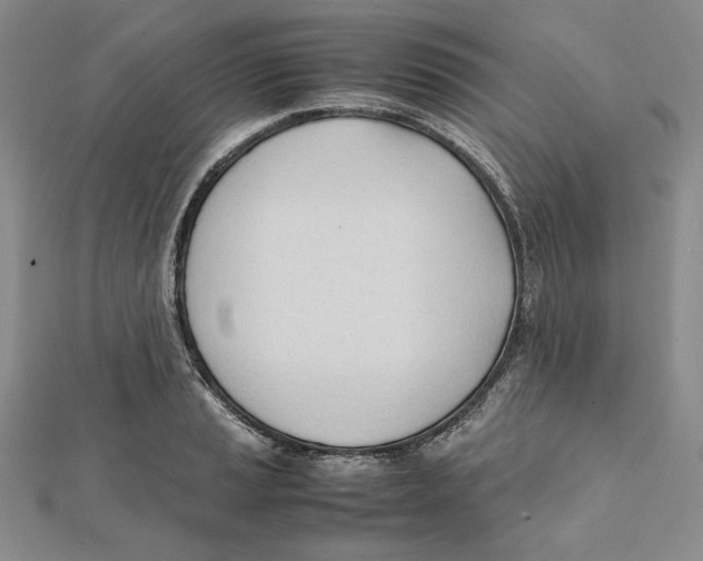 X0000112051037200909010938