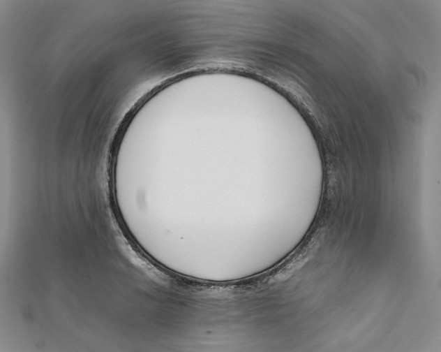 X0000112051038200909010938