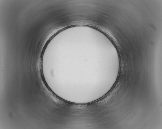 X0000112051040200909010938
