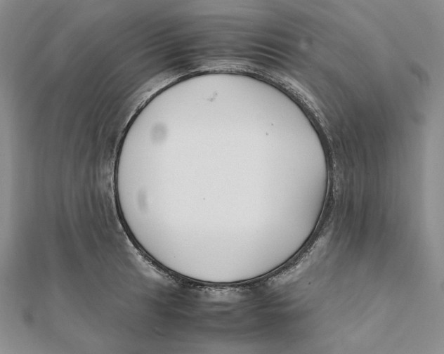 X0000112051041200909010938