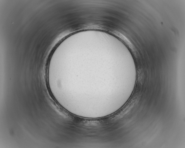 X0000112051043200909010938