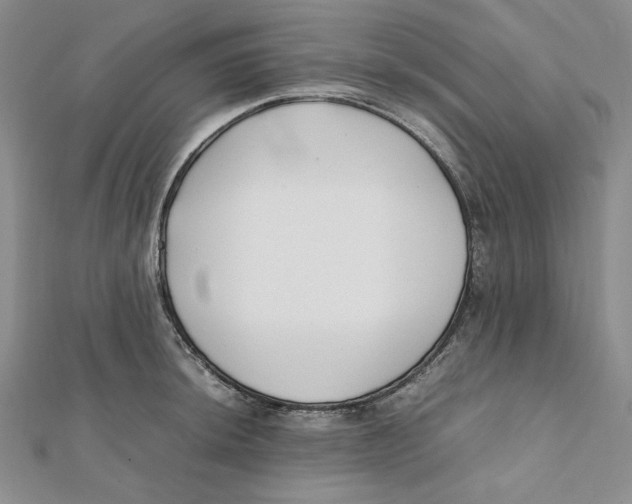 X0000112051044200909010938