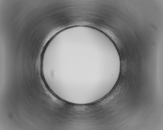 X0000112051046200909010938