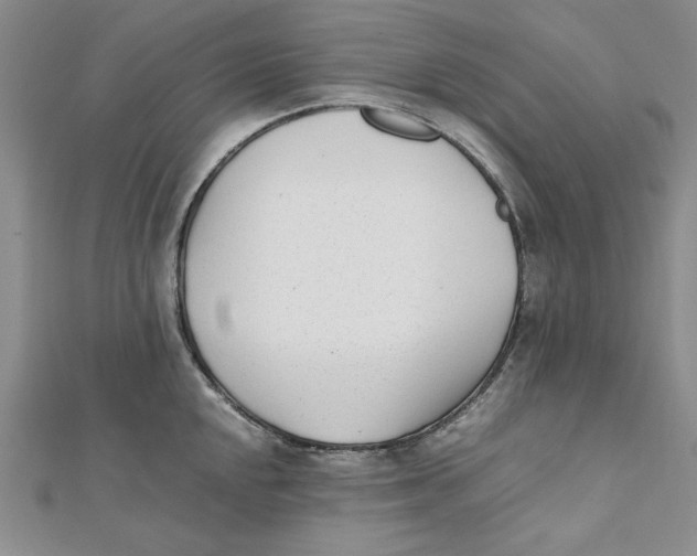 X0000112051048200909010938