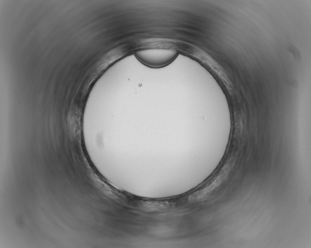 X0000112051049200909010938
