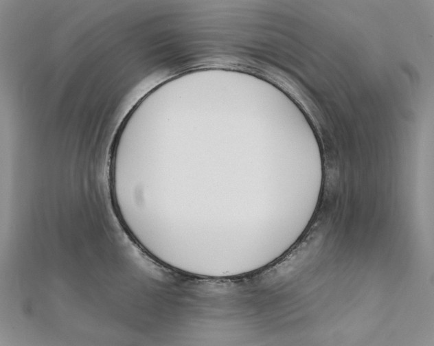 X0000112051050200909010938