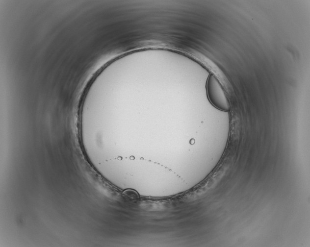 X0000112051051200909010938