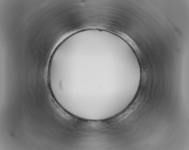 X0000112051052200909010938
