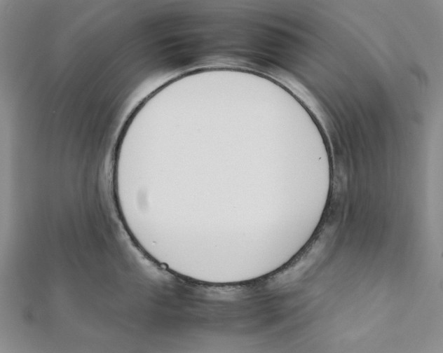 X0000112051053200909010938
