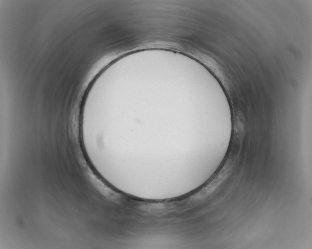 X0000112051054200909010938