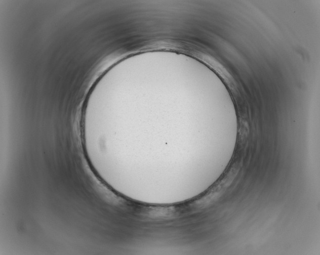 X0000112051055200909010938