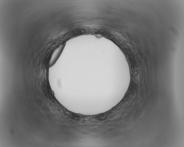 X0000112051061200909010938