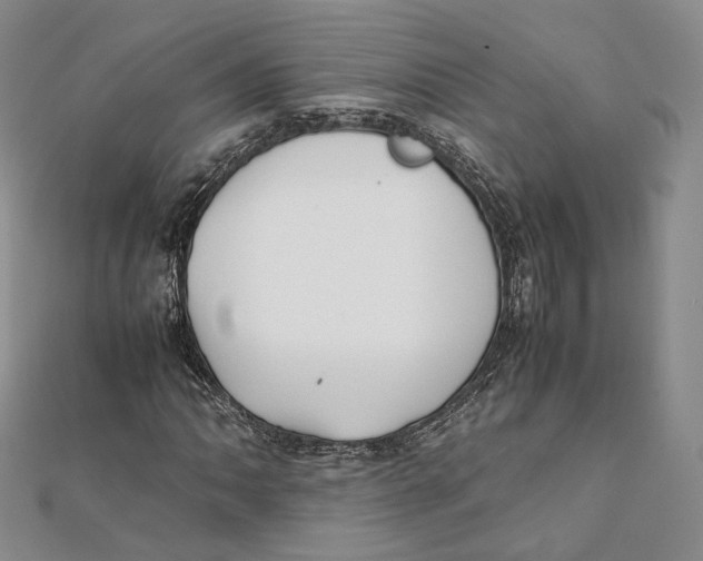X0000112051062200909010938