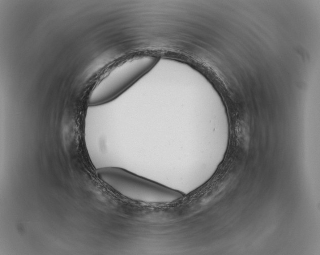 X0000112051064200909010938