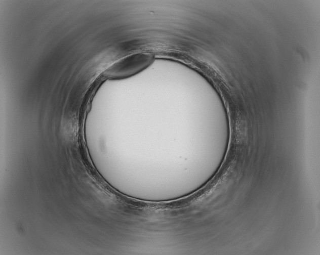 X0000112051065200909010938