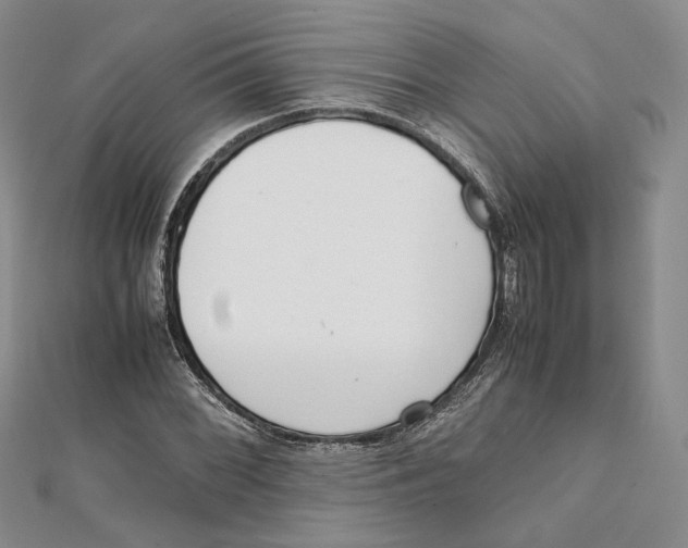 X0000112051068200909010938