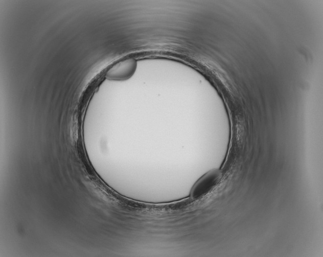 X0000112051069200909010938