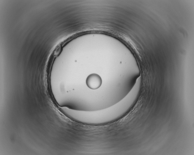 X0000112051072200909010938