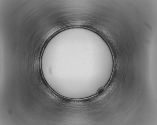 X0000112051073200909010938